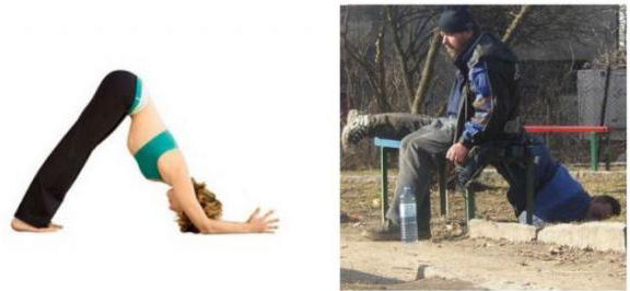 Dolphin Pose
